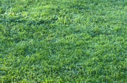 Terrain à Bourg-Blanc 29860 425m2 70000 € - ETRE-26-07-08-44