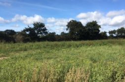 Terrain à Guilers 29820 473m2 85000 € - JPD-26-09-17-17
