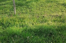 Terrain à Sainte-Helene 56700 355m2 115000 € - GMA-26-08-04-89