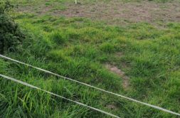 Terrain à Baud 56150 508m2 55000 € - GMA-26-08-04-9
