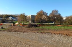 Terrain à Le-Gua 17600 701m2 87345 € - BFLR-26-06-15-6