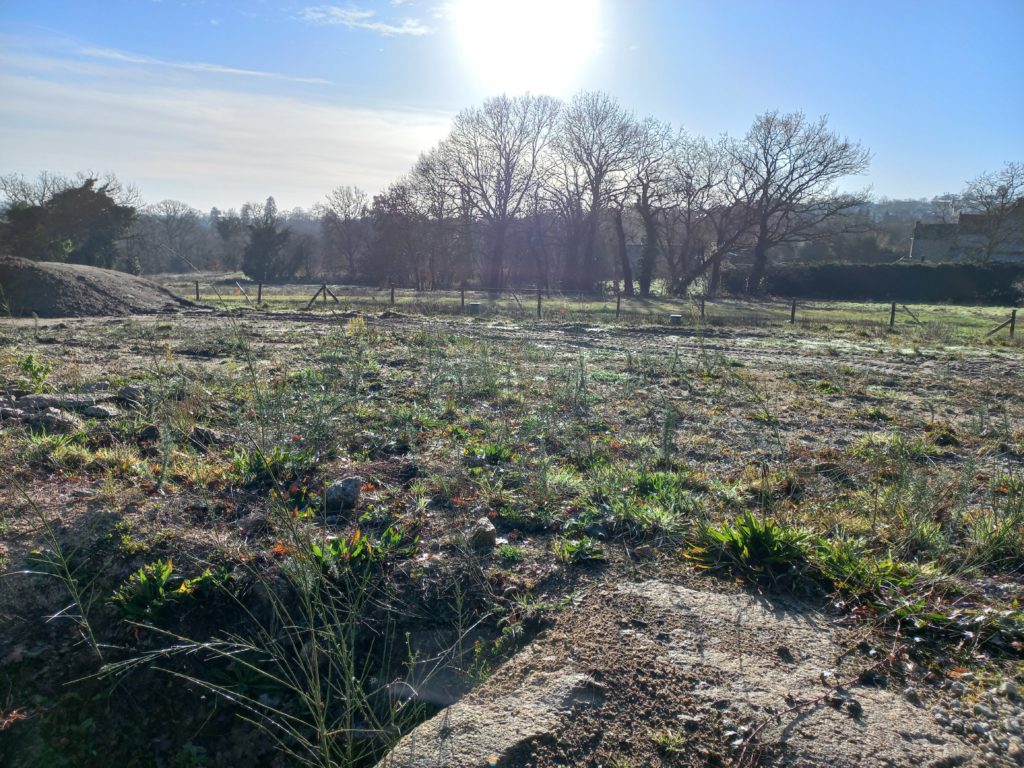 Terrain à Dinan 22100 347m2 69000 € - GESC-26-09-15-7