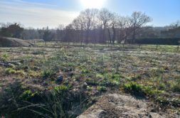 Terrain à Dinan 22100 347m2 69000 € - GESC-26-05-29-10
