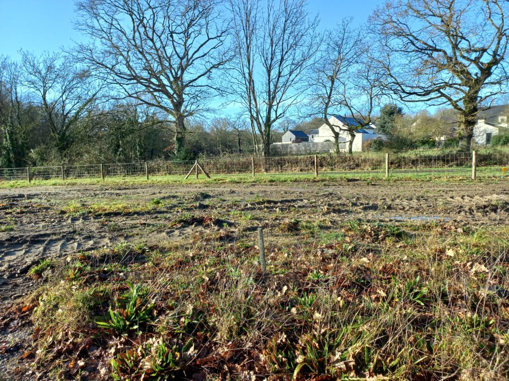 Terrain à Dinan 22100 347m2 69000 € - GESC-26-09-15-7