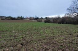 Terrain à Quint-Fonsegrives 31130 1901m2 280000 € - LOCA-26-05-25-30
