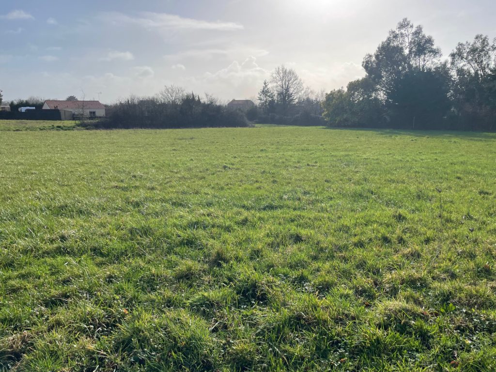 Terrain à Villeneuve-en-Retz 44580 554m2 68000 € - QUCH-26-06-01-12