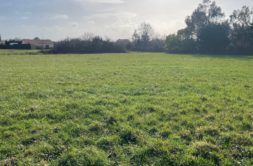 Terrain à Villeneuve-en-Retz 44580 554m2 68000 € - QUCH-26-06-01-12