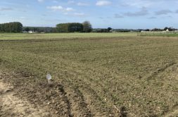 Terrain à Garlan 29610 573m2 53900 € - RGOB-26-06-02-10