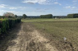 Terrain à Garlan 29610 460m2 42900 € - RGOB-26-06-02-9