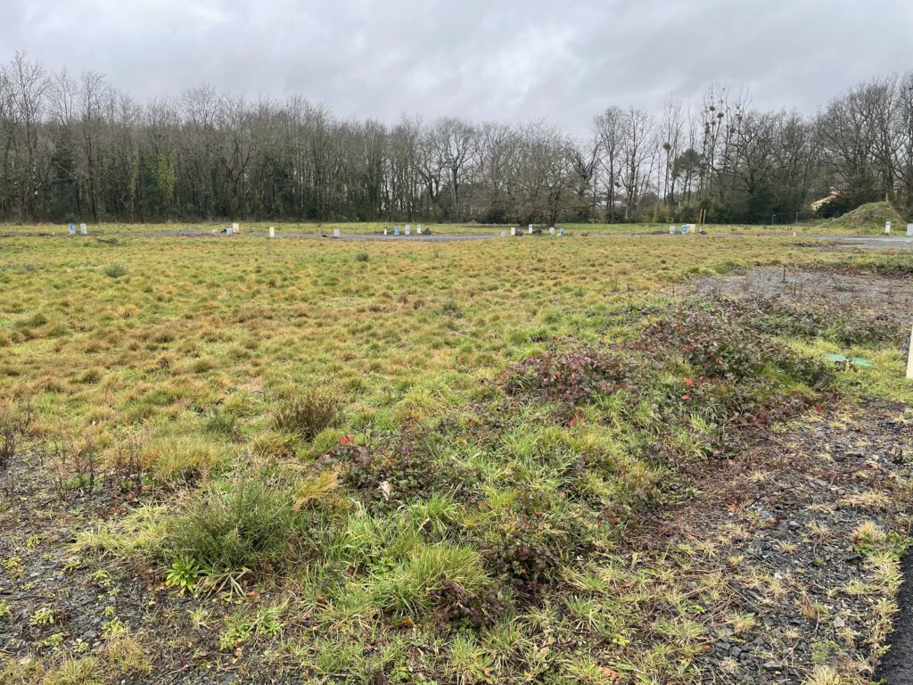 Terrain à Saint-Aignan-Grandlieu 44860 443m2 91500 € - QUCH-26-07-20-57