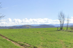 Terrain à Lasserre 09230 1015m2 50000 € - FRSC-26-07-13-10