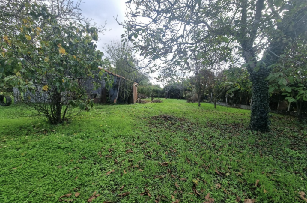 Terrain à Berat 31370 694m2 58000 € - FRSC-26-07-03-9