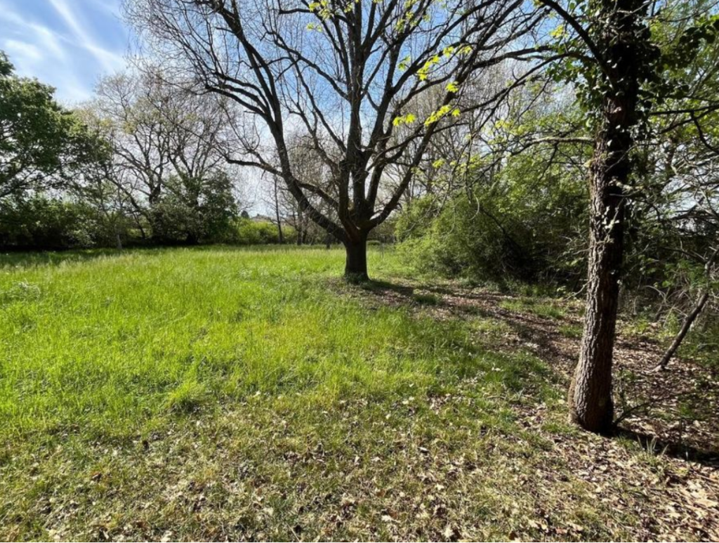 Terrain à Beauzelle 31700 1300m2 250000 € - CROP-26-06-05-2