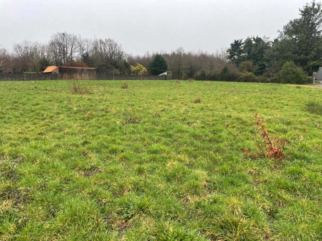 Terrain à Chaumes-en-Retz 44320 318m2 77500 € - QUCH-26-06-29-2
