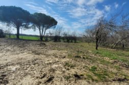 Terrain à Lanta 31570 674m2 132999 € - LOCA-26-07-01-38