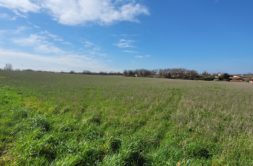 Terrain à Auzielle 31650 1040m2 225500 € - LOCA-26-06-08-48
