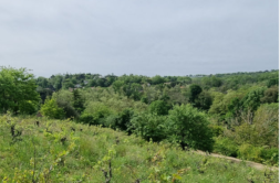 Terrain à Castanet-Tolosan 31320 1010m2 198997 € - LOCA-26-06-08-44