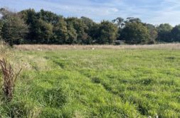 Terrain à Pleuven 29170 336m2 78000 € - YDEM-26-06-19-95