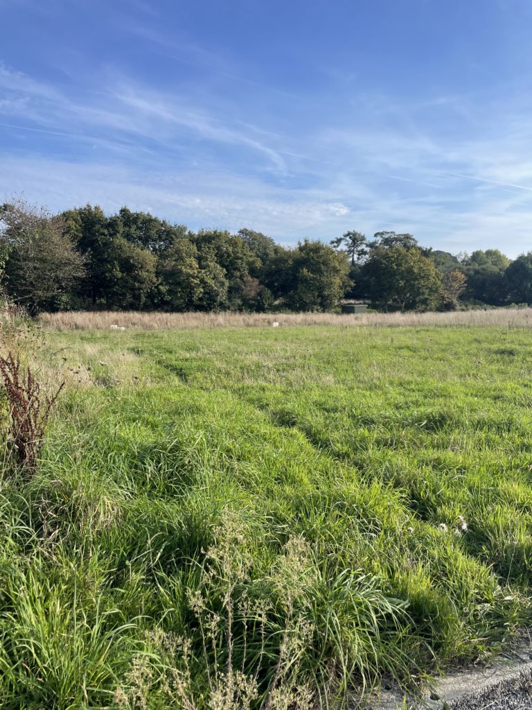 Terrain à Pleuven 29170 336m2 78000 € - YDEM-26-06-19-95