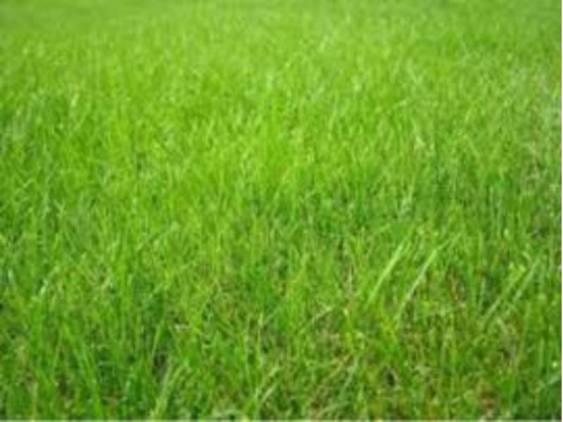 Terrain à Pleugueneuc 35720 350m2 54000 € - HHE-26-10-25-3