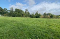 Terrain à ARCIZAC-ADOUR 65360 1780m2 40000 € - PHPA-26-05-24-42