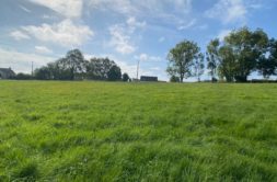 Terrain à ARCIZAC-ADOUR 65360 1860m2 40000 € - PHPA-26-09-28-50