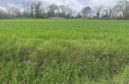 Terrain à Sainte-Helene 56700 373m2 98000 € - GMA-26-08-04-93