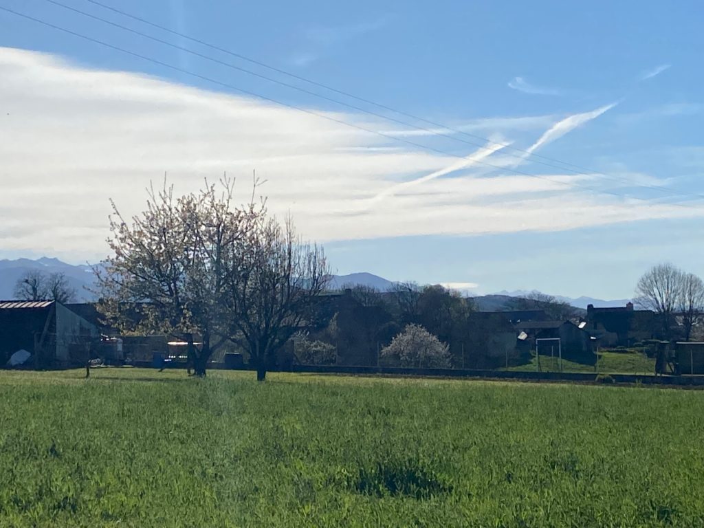 Terrain à VISKER 65200 1370m2 54000 € - PHPA-26-06-08-35