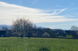 Terrain à VISKER 65200 1370m2 54000 € - PHPA-26-06-08-35