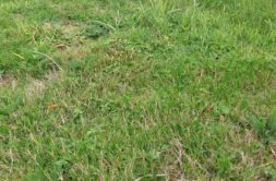 Terrain à PLAINTEL 22940 378m2 43443 € - JBES-26-09-29-12