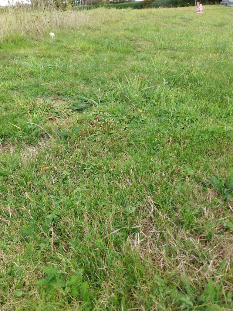 Terrain à Langueux 22360 427m2 106900 € - JBES-26-09-29-10