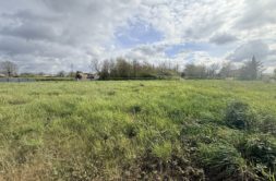 Terrain à Cadalen 81600 717m2 62500 € - SAET-26-05-31-64