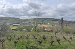 Terrain à Albi 81000 2793m2 95000 € - SAET-26-05-24-9