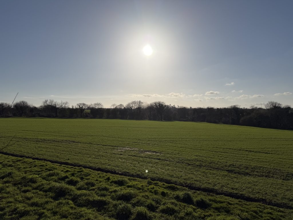Terrain à Bourg-Blanc 29860 444m2 79000 € - FGUE-26-07-17-8