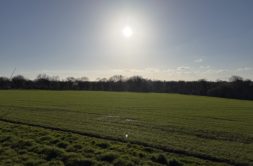 Terrain à Bourg-Blanc 29860 444m2 79000 € - FGUE-26-07-17-8