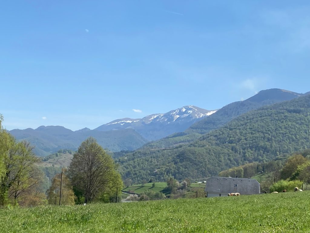 Terrain à Marsas 65200 2450m2 65000 € - PHPA-26-06-02-4