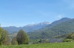 Terrain à Marsas 65200 2450m2 65000 € - PHPA-26-06-02-4