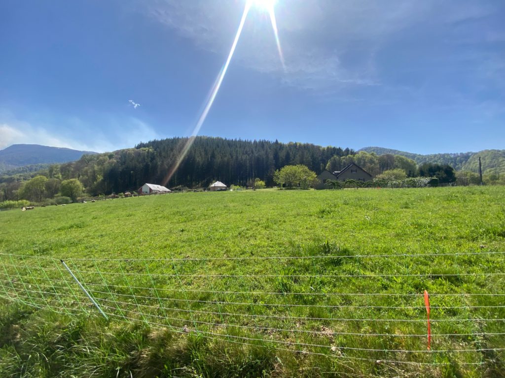 Terrain à Marsas 65200 2450m2 65000 € - PHPA-26-06-02-4