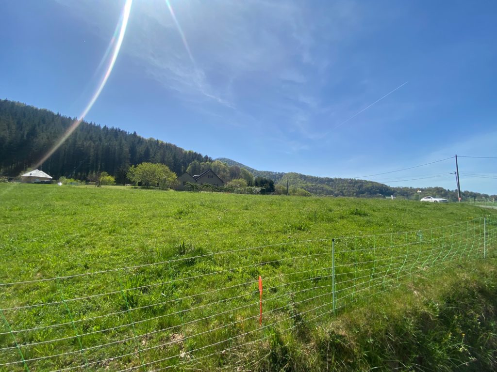 Terrain à Marsas 65200 2450m2 65000 € - PHPA-26-06-02-4