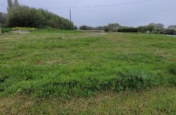 Terrain à Cancale 35260 415m2 185000 € - DAJE-26-05-26-5