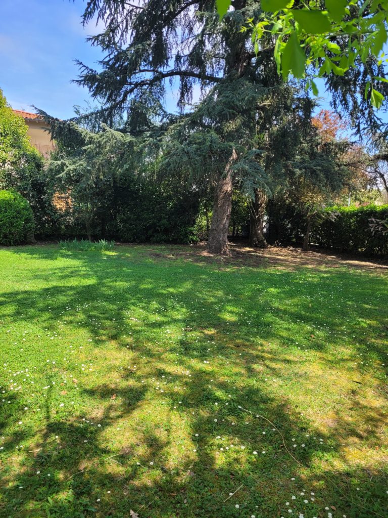 Terrain à Saint-Orens-de-Gameville 31650 730m2 210500 € - LOCA-26-07-27-21