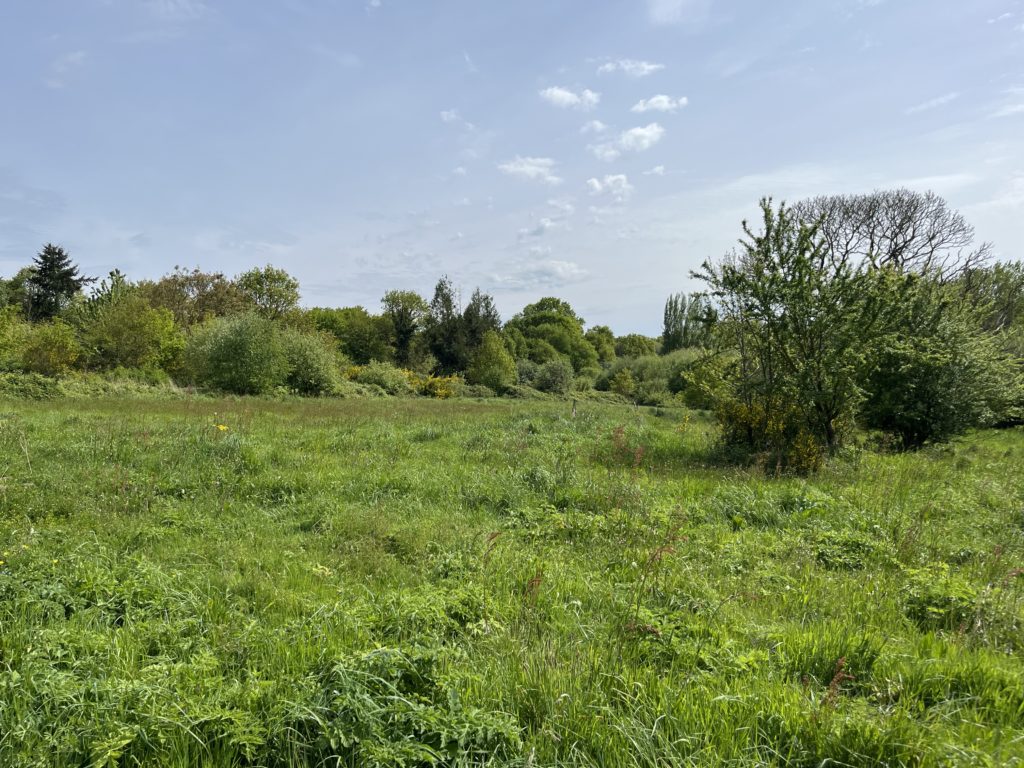 Terrain à Cardroc 35190 366m2 46000 € - HHE-26-10-22-17