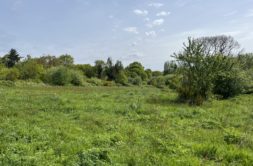 Terrain à Cardroc 35190 366m2 46000 € - HHE-26-05-26-4