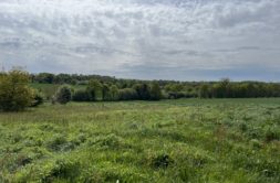 Terrain à Cardroc 35190 442m2 51000 € - HHE-26-06-01-9