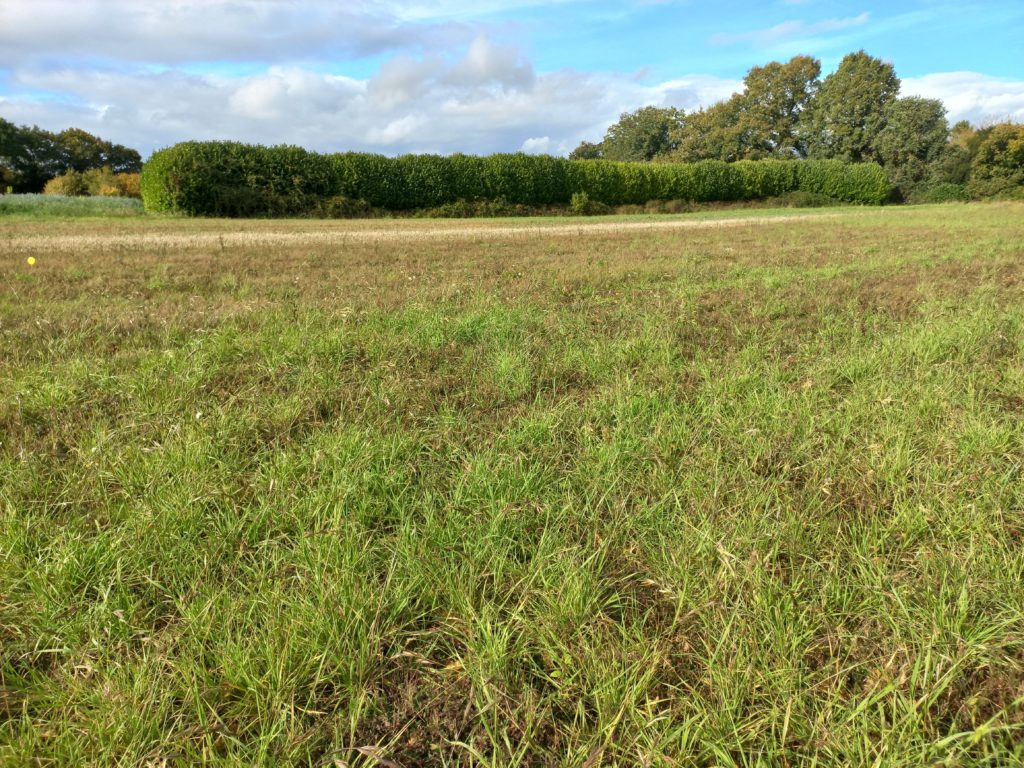 Terrain à Pleurtuit 35730 560m2 165000 € - GESC-26-09-15-12