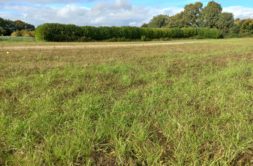 Terrain à Pleurtuit 35730 560m2 165000 € - GESC-26-07-16-12