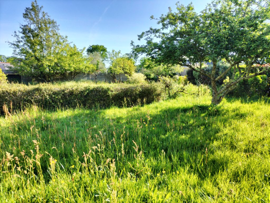 Terrain à Sene 56860 608m2 260000 € - RJ-26-06-22-1