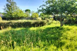 Terrain à Sene 56860 608m2 260000 € - RJ-26-05-28-1