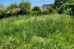 Terrain à La-Tremblade 17390 1043m2 219000 € - OLNA-26-05-26-42