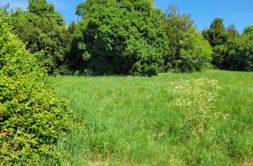 Terrain à Arvert 17530 1246m2 230000 € - OLNA-26-05-26-30